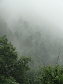 西安観光＠驪山の観光スポット、兵諌亭から見た驪山の森林の風景