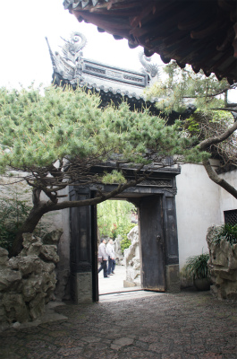 中国旅行記、上海・豫園観光＠門と風情ある松の木