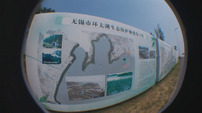 とまとじゅーす的中国旅行記＠無錫観光。太湖大堤、生態林の植林工事の工程表