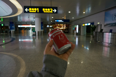 中国旅行記＠上海浦東国際空港へ到着、そして人生初の中国での空港泊