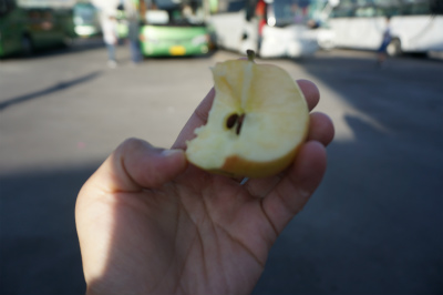 新疆ウイグル自治区観光旅行記＠中国とカザフスタンの国境の町、霍城県で小休憩。リンゴを食す