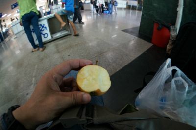 中国＆カザフスタン観光旅行記＠霍爾果斯口岸（霍尔果斯）、中国とカザフスタンの出入国管理所でリンゴを食す