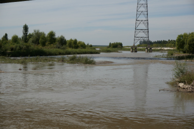 イリ・カザフ族自治州（伊犁哈萨克自治州）観光旅行記＠滔々と流れる大河、イリ河（伊犁河）の川面