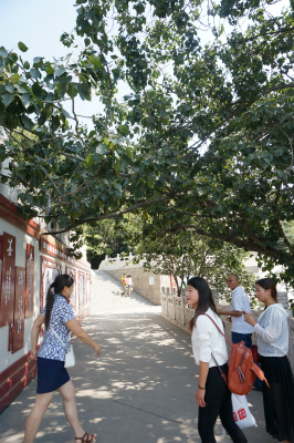 中国旅行記＠蘭州観光、白塔山公園を気楽に散歩